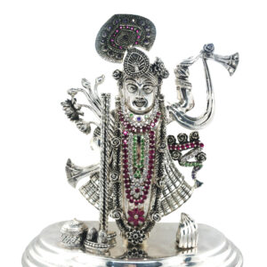 Shreenath Ji in Divine Silver Brilliance Shreenath Ji in Divine Silver Brilliance